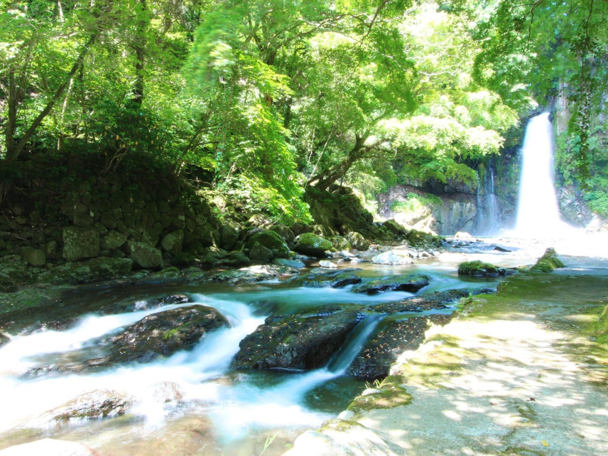 大滝温泉 天城荘 旅館 河津町
